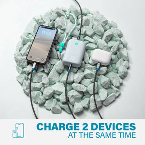 CHAMP Portable Charger